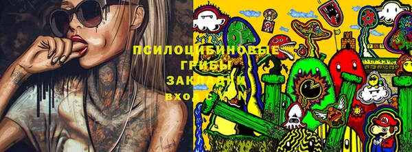 МДПВ Алексин